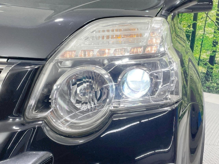 2013 Nissan X-Trail DBA-NT31 (UW-6a24e15ea50ef)[13]