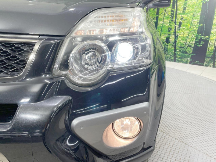 2013 Nissan X-Trail DBA-NT31 (UW-6a24e15ea50ef)[14]