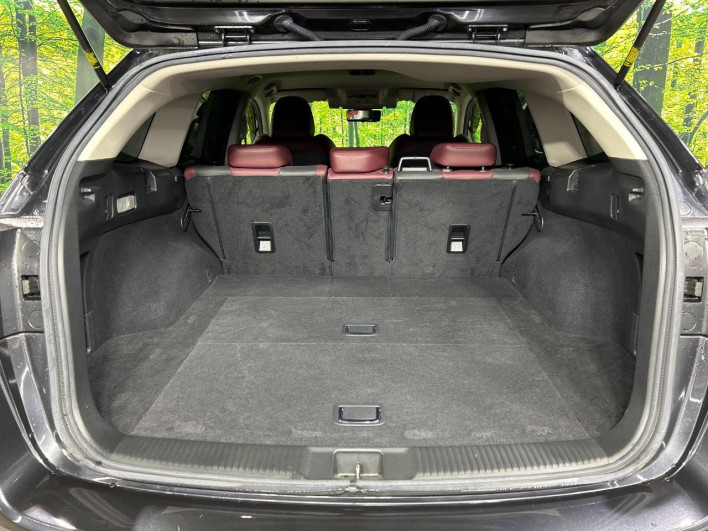 2017 Subaru Levorg DBA-VM4 (UW-6a24e196597ef)[5]