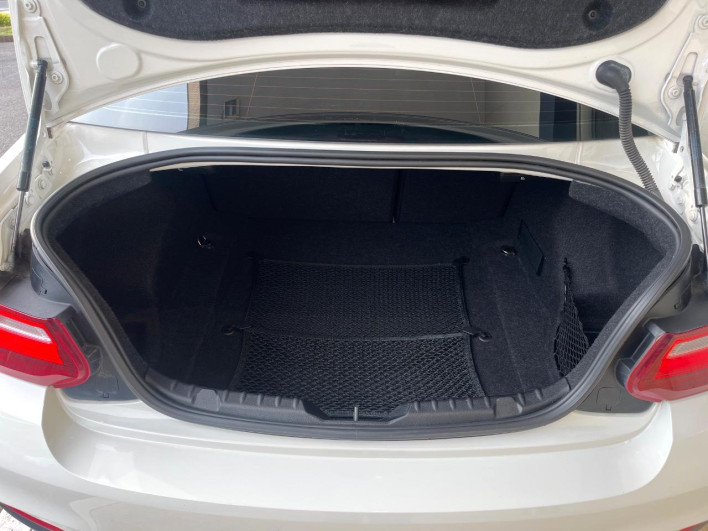 2015 BMW 2 Series DBA-1J20 (UW-6a24e19bee3cf)[17]