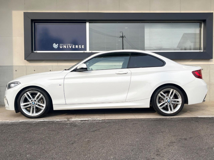 2015 BMW 2 Series DBA-1J20 (UW-6a24e19bee3cf)[9]