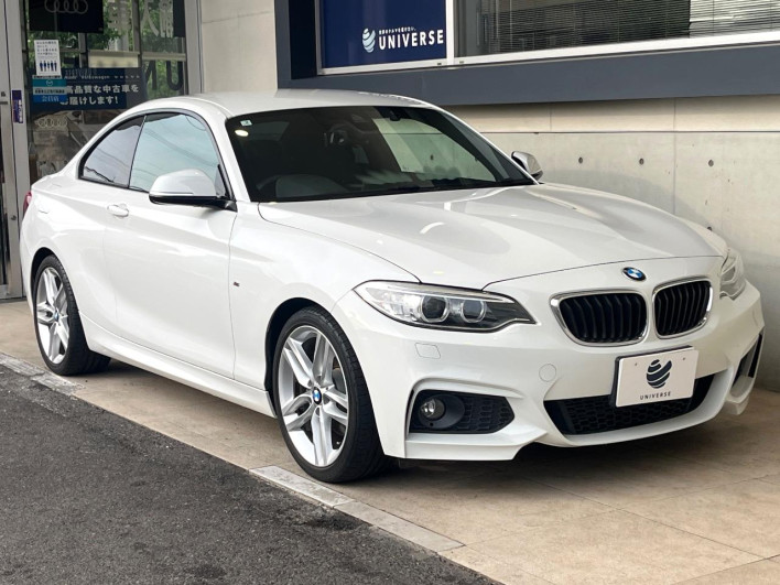 2015 BMW 2 Series DBA-1J20 (UW-6a24e19bee3cf)[22]