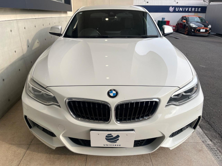 2015 BMW 2 Series DBA-1J20 (UW-6a24e19bee3cf)[7]
