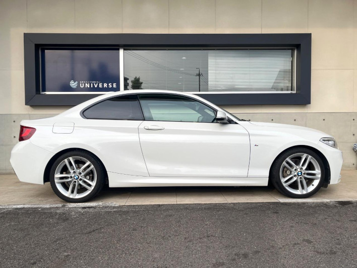 2015 BMW 2 Series DBA-1J20 (UW-6a24e19bee3cf)[21]