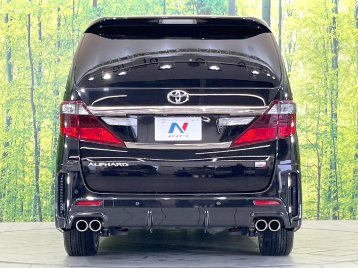 2013 Toyota Alphard DBA-ANH20W (UW-6a26315dd0c07)[10]