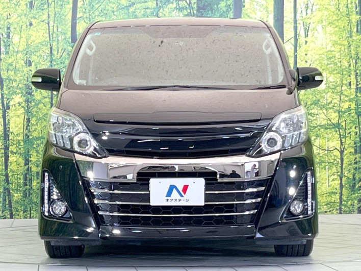 2013 Toyota Alphard DBA-ANH20W (UW-6a26315dd0c07)[6]