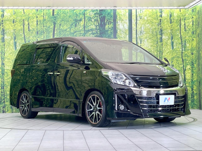 2013 Toyota Alphard DBA-ANH20W (UW-6a26315dd0c07)[7]