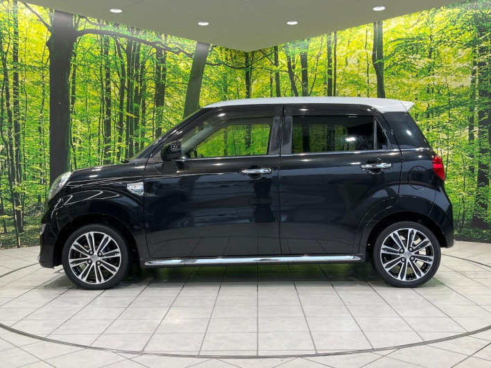 2019 Daihatsu Cast DBA-LA250S (UW-6a26322fc7e58)[20]