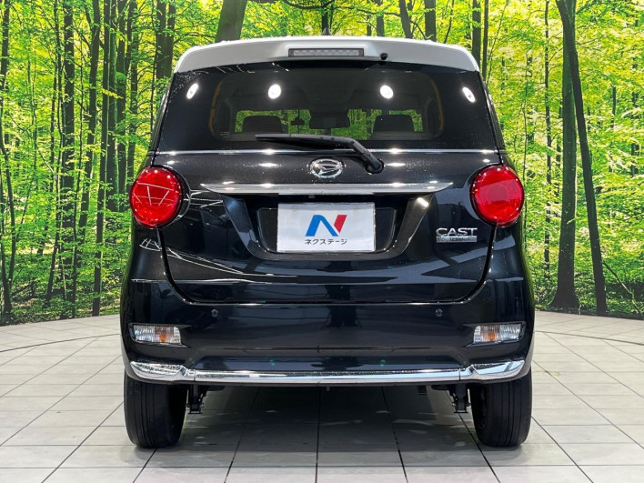 2019 Daihatsu Cast DBA-LA250S (UW-6a26322fc7e58)[18]