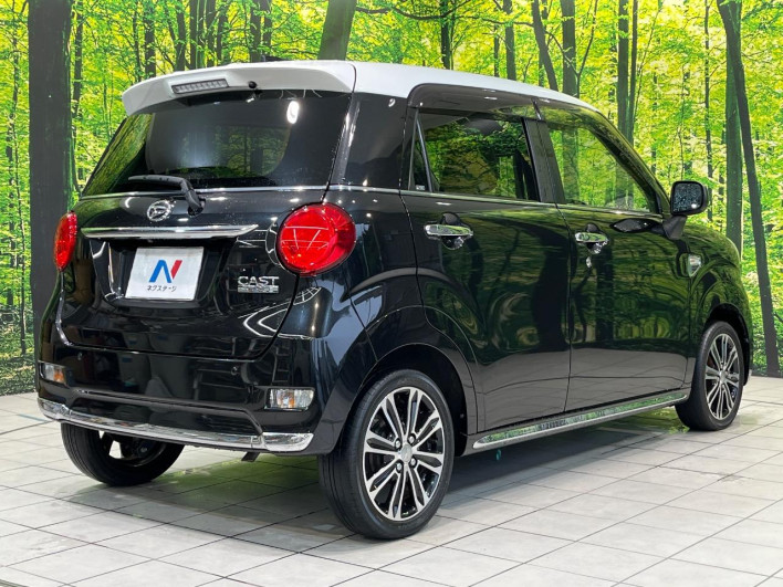2019 Daihatsu Cast DBA-LA250S (UW-6a26322fc7e58)[17]