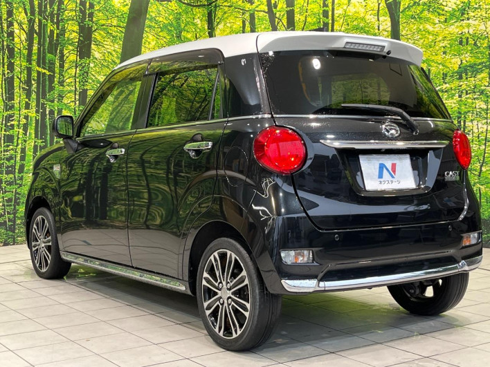 2019 Daihatsu Cast DBA-LA250S (UW-6a26322fc7e58)[19]