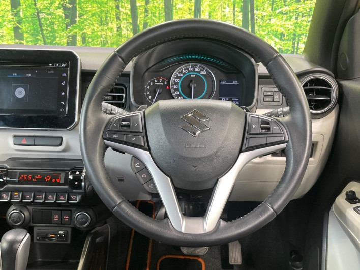 2017 Suzuki Ignis DAA-FF21S (UW-6a2783fc79c28)[25]