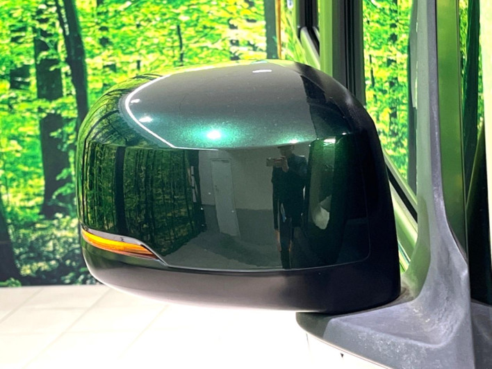 2018 Honda N-BOX DBA-JF3 (UW-6a278459819ae)[14]
