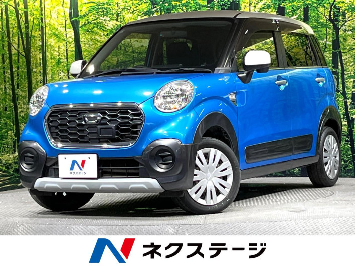 2015 Daihatsu Cast DBA-LA250S (UW-6a2784902d85f)[3]