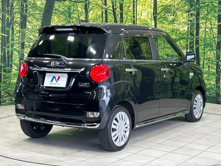 2017 Daihatsu Cast DBA-LA250S (UW-6a278490e7e72)[26]