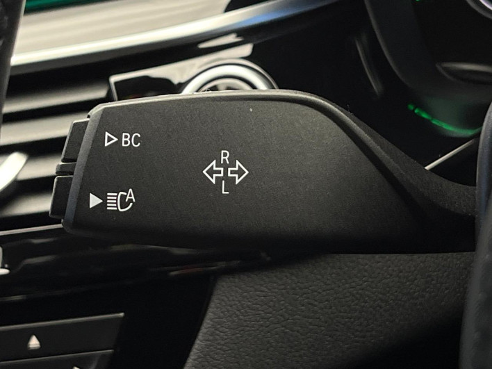 2018 BMW 5 Series LDA-JM20 (UW-6a27858731daa)[13]