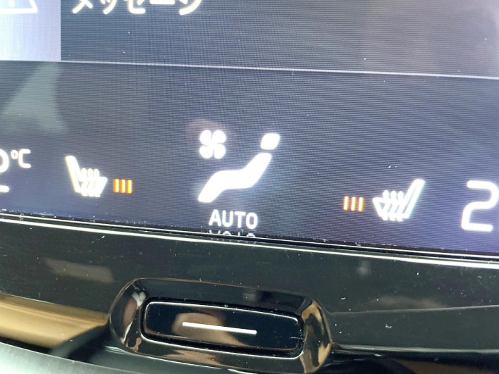 2019 Volvo XC60 LDA-UD4204TXC (UW-6a27859102656)[25]