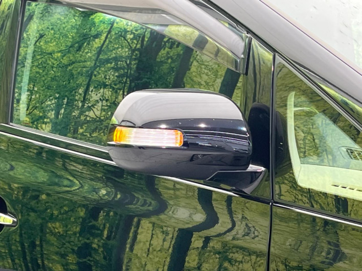 2013 Toyota Alphard DBA-ANH20W (UW-6a28d4c7aee70)[7]