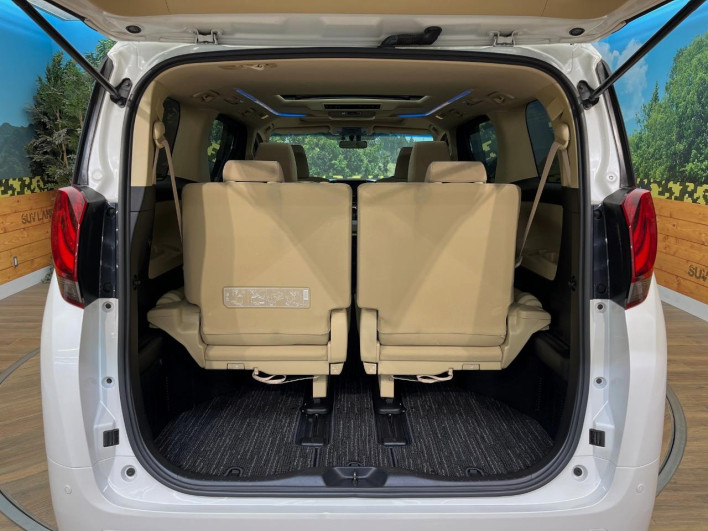 2015 Toyota Alphard Hybrid DAA-AYH30W (UW-6a28d4d870b12)[6]