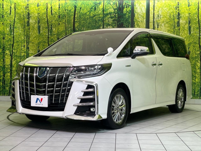 2020 Toyota Alphard Hybrid DAA-AYH30W (UW-6a28d4d92195d)[4]