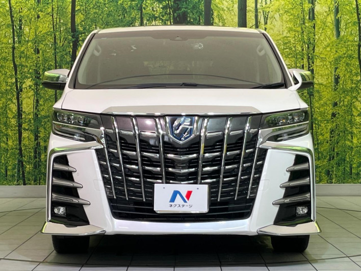 2020 Toyota Alphard Hybrid DAA-AYH30W (UW-6a28d4d92195d)[11]