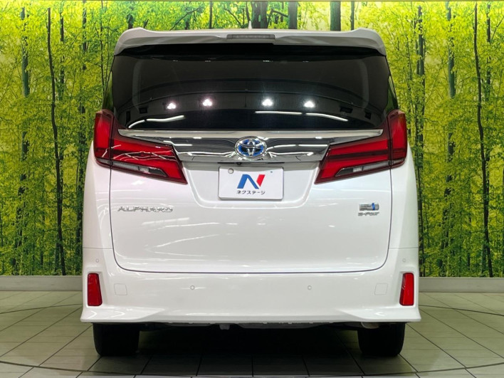 2020 Toyota Alphard Hybrid DAA-AYH30W (UW-6a28d4d92195d)[7]