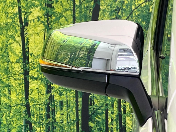 2020 Toyota Alphard Hybrid DAA-AYH30W (UW-6a28d4d92195d)[21]