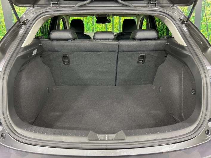 2016 Mazda Axela Sports LDA-BMLFS (UW-6a28d4fb6d08d)[18]