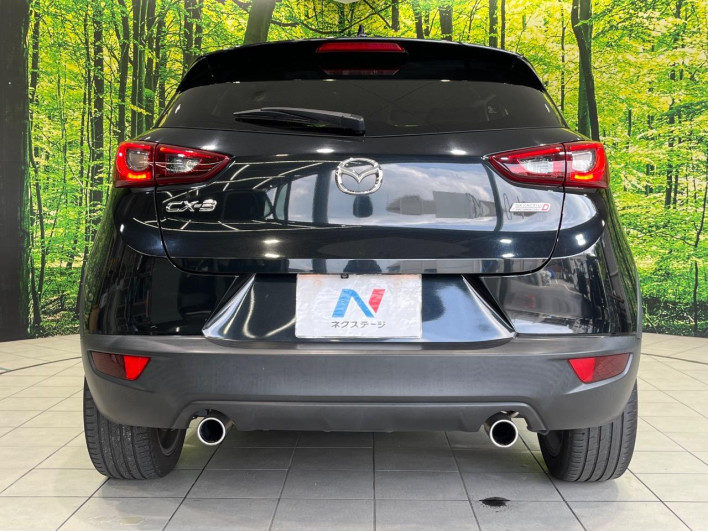 2016 Mazda CX-3 LDA-DK5FW (UW-6a28d50b241d1)[25]
