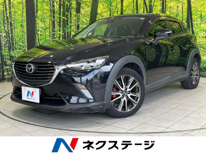 2016 Mazda CX-3 LDA-DK5FW (UW-6a28d50b241d1)[3]