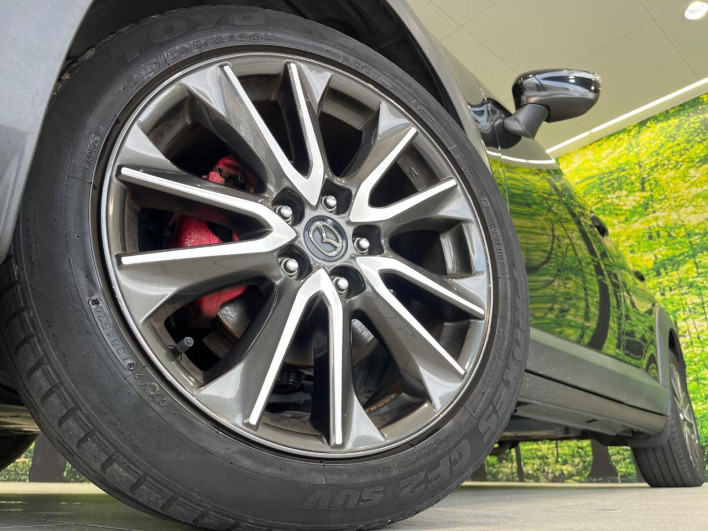 2016 Mazda CX-3 LDA-DK5FW (UW-6a28d50b241d1)[8]