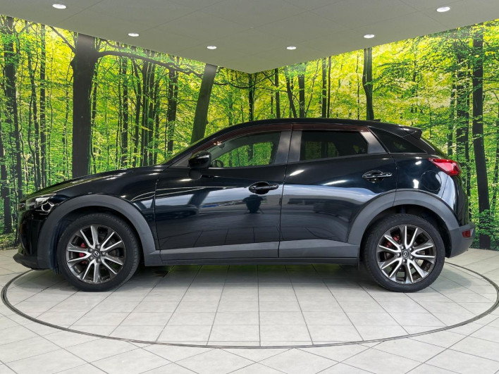 2016 Mazda CX-3 LDA-DK5FW (UW-6a28d50b241d1)[20]