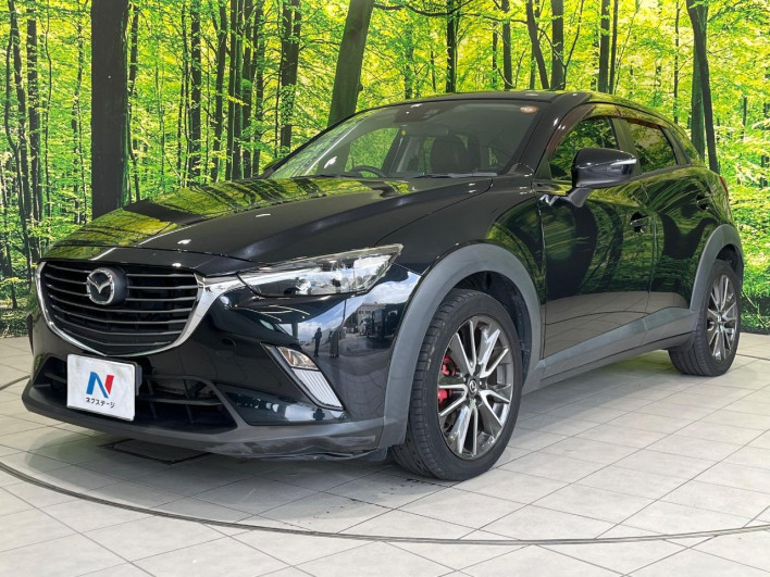 2016 Mazda CX-3 LDA-DK5FW (UW-6a28d50b241d1)[13]