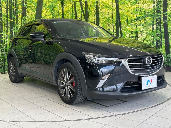 2016 Mazda CX-3 LDA-DK5FW (UW-6a28d50b241d1)[15]