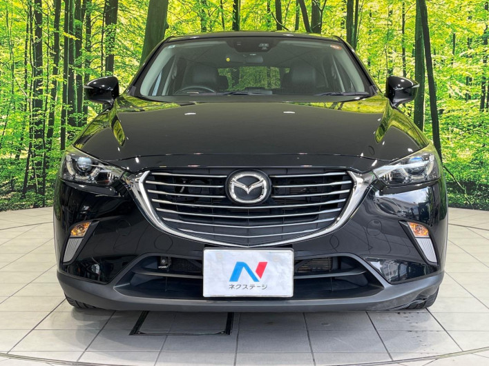 2016 Mazda CX-3 LDA-DK5FW (UW-6a28d50b241d1)[14]