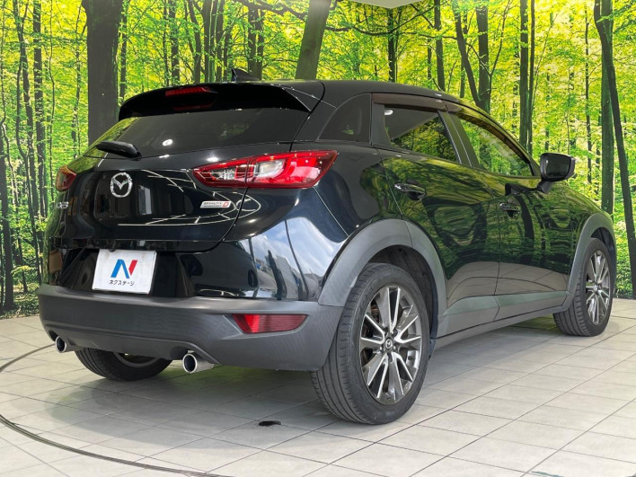 2016 Mazda CX-3 LDA-DK5FW (UW-6a28d50b241d1)[17]