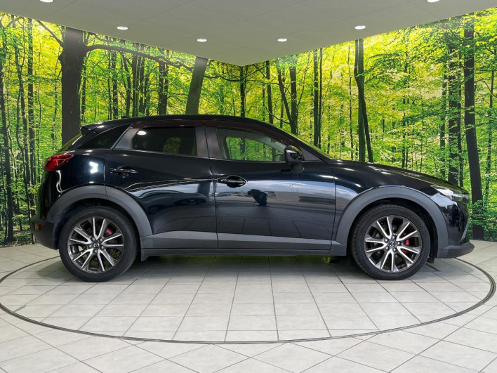 2016 Mazda CX-3 LDA-DK5FW (UW-6a28d50b241d1)[16]