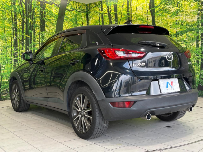 2016 Mazda CX-3 LDA-DK5FW (UW-6a28d50b241d1)[19]
