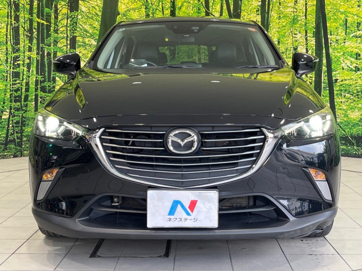 2016 Mazda CX-3 LDA-DK5FW (UW-6a28d50b241d1)[22]
