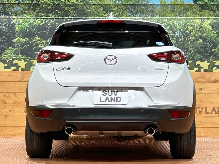 2018 Mazda CX-3 6BA-DKEFW (UW-6a28d50b6d74e)[13]