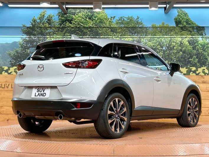 2018 Mazda CX-3 6BA-DKEFW (UW-6a28d50b6d74e)[14]
