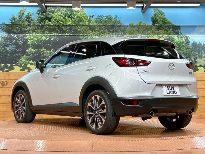 2018 Mazda CX-3 6BA-DKEFW (UW-6a28d50b6d74e)[12]