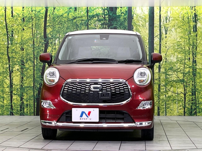 2016 Daihatsu Cast DBA-LA250S (UW-6a28d5c07656f)[14]