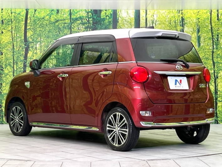 2016 Daihatsu Cast DBA-LA250S (UW-6a28d5c07656f)[13]