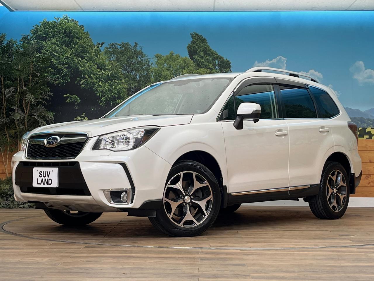 2013 Subaru Forester DBA-SJG