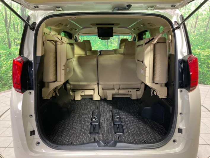 2018 Toyota Alphard DBA-AGH30W (UW-6a2a25f31b663)[14]