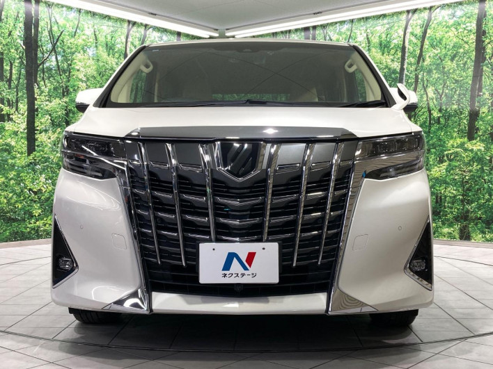 2018 Toyota Alphard DBA-AGH30W (UW-6a2a25f31b663)[9]