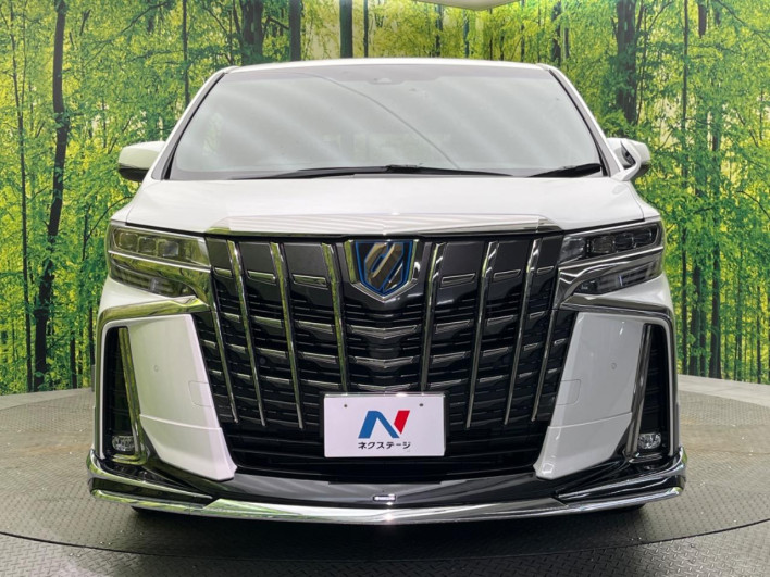 2022 Toyota Alphard Hybrid 6AA-AYH30W (UW-6a2a260fc4f1c)[11]