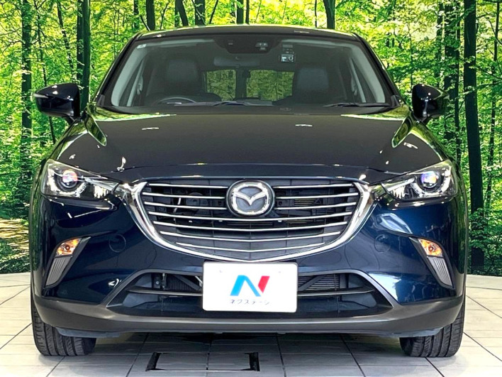 2016 Mazda CX-3 LDA-DK5FW (UW-6a2a2641b17c4)[12]