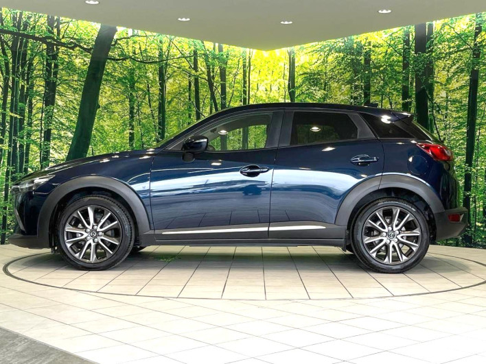 2016 Mazda CX-3 LDA-DK5FW (UW-6a2a2641b17c4)[14]